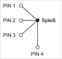 Netzwerk mit Spleißpunkt